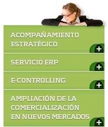 Servicios2